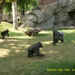 zoologická záhrada