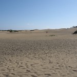 Pieskové duny Maspalomas