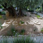 Getsemanská záhrada