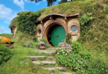 Nový Zéland – Severný ostrov za 6 dní